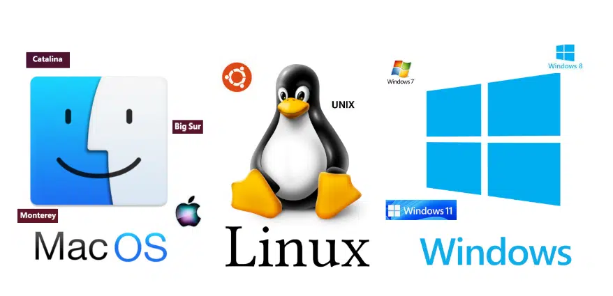 découvrez les meilleures distributions linux similaires à windows, permettant une transition facile pour les utilisateurs familiers avec l'interface de microsoft. explorez des options adaptées à vos besoins, avec des environnements de bureau intuitifs et des logiciels standards qui feront de votre expérience linux un véritable plaisir.